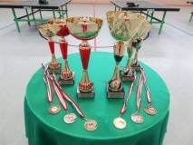 VI. Tischtennisturnier um den Oberösterreichischen Cup - 15. März 2014