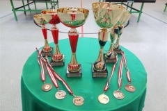 VI. Tischtennisturnier um den Oberösterreichischen Cup - 15. März 2014