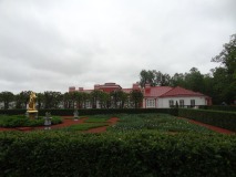 DSC02331