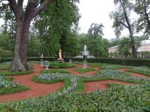DSC02335
