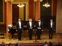 Konzert in Wien - 24. Juni 2014