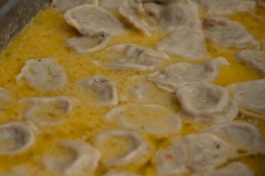 gala-i-bal-sportu-208