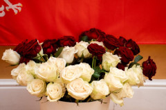 gala-i-bal-sportu-28