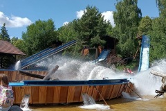 91