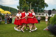 Linz Fest