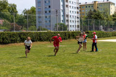 IMG_2442-1